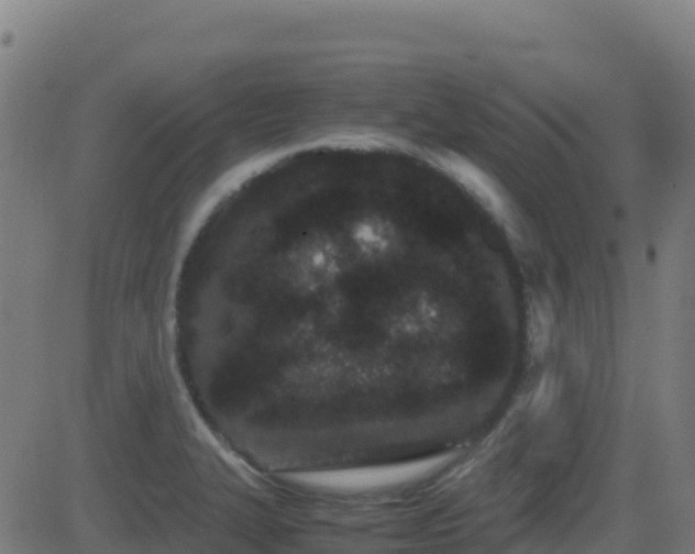 X0000081491327200701121500