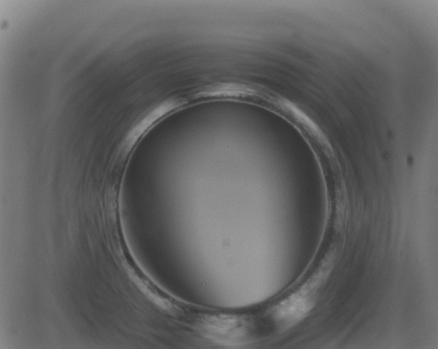 X0000081491329200701121500