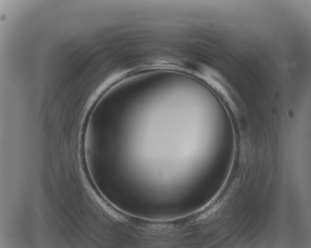 X0000081491333200701121500