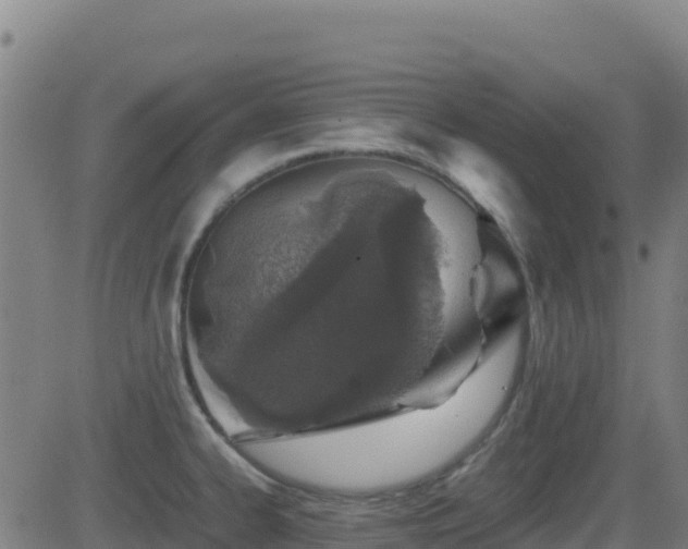 X0000081491334200701121500