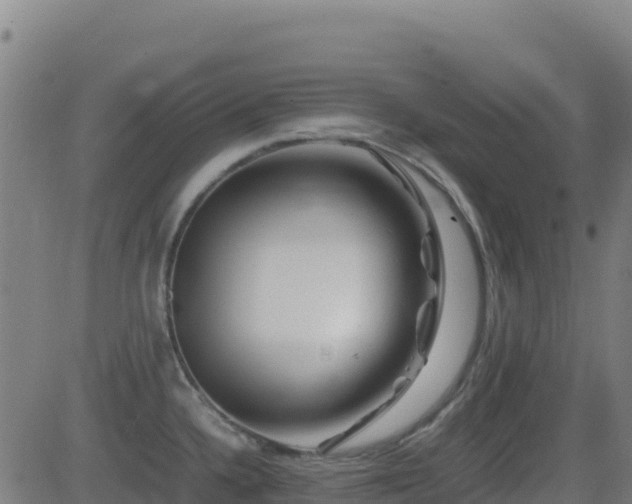 X0000081491336200701121500