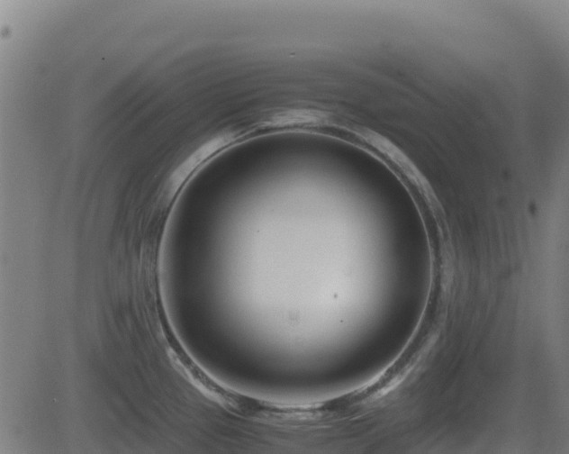 X0000081491337200701121500