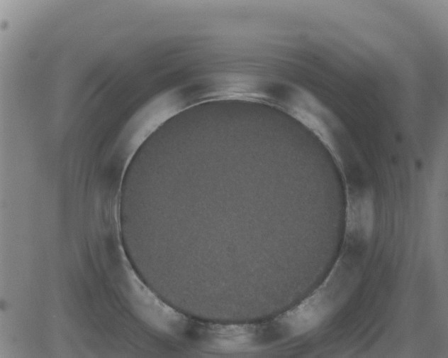 X0000081491338200701121500