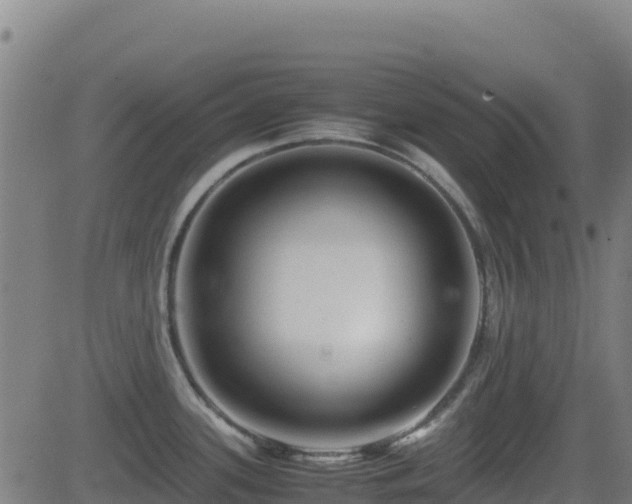 X0000081491339200701121500