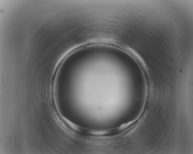 X0000081491340200701121500