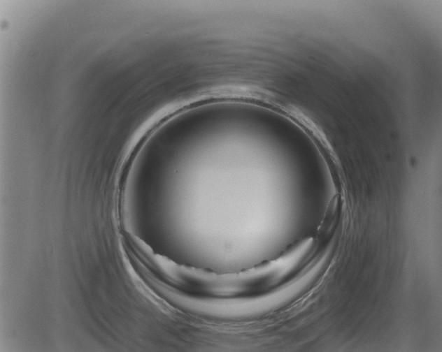 X0000081491342200701121500