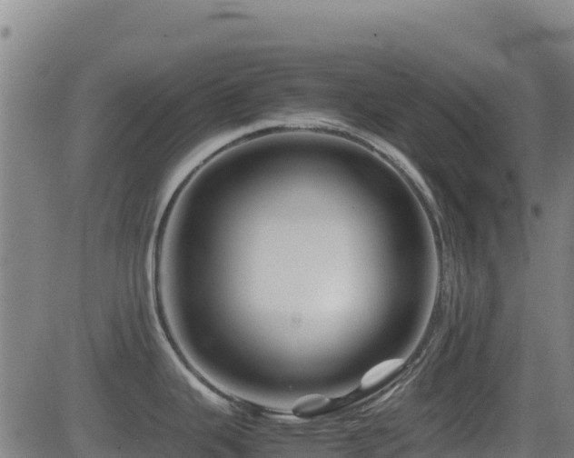 X0000081491343200701121500