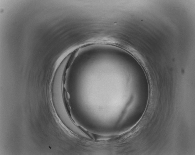 X0000081491344200701121500