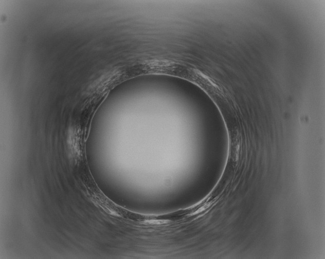 X0000081491346200701121500