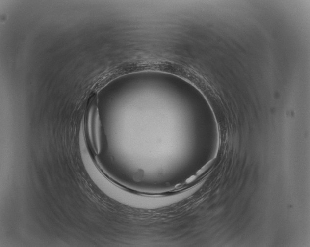 X0000081491348200701121459