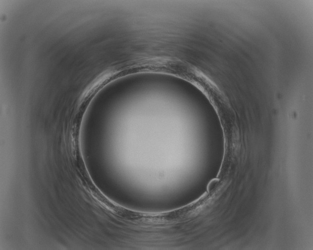 X0000081491354200701121459