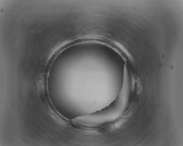 X0000081491356200701121459