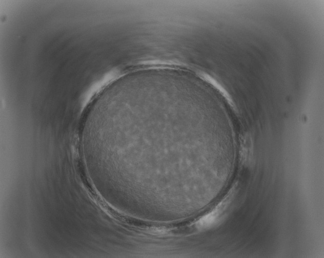 X0000081491357200701121459