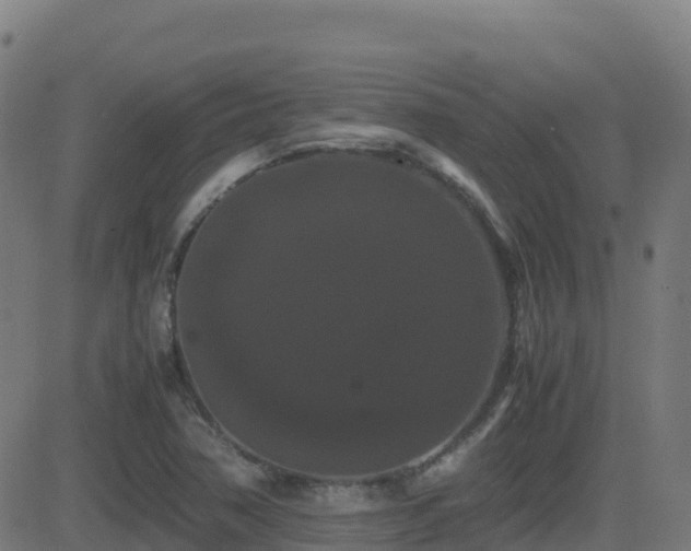 X0000081491362200701121459