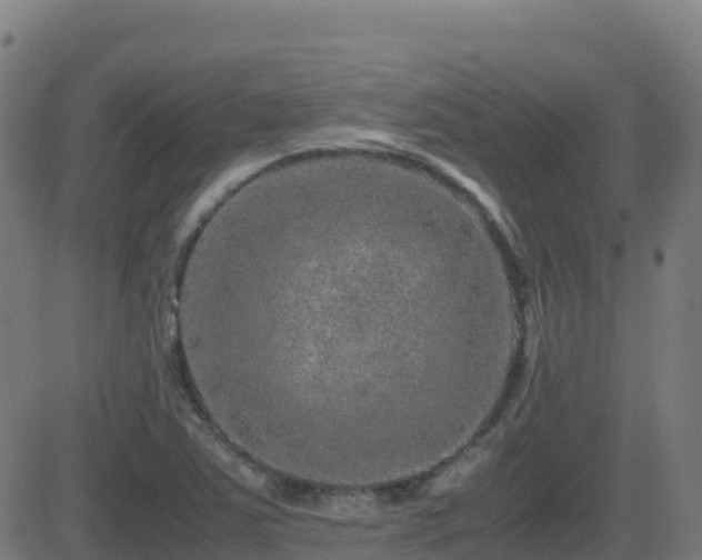 X0000081491363200701121459