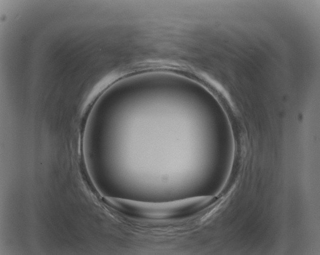 X0000081491365200701121459