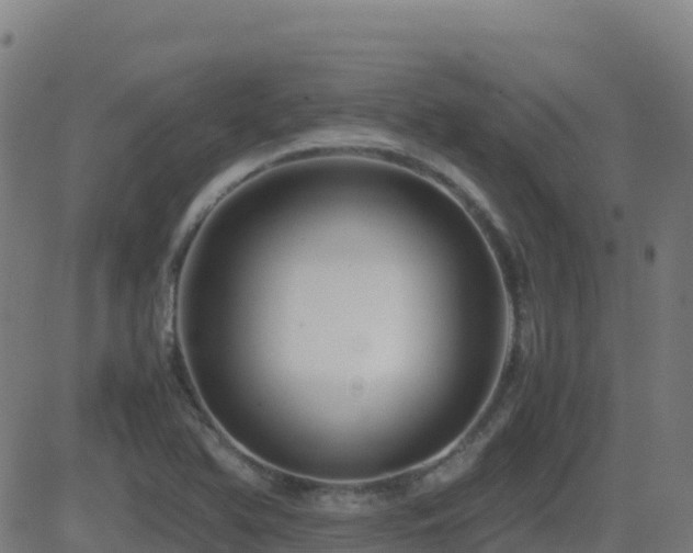 X0000081491366200701121459