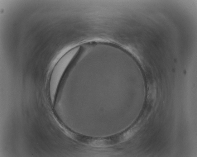 X0000081491367200701121459