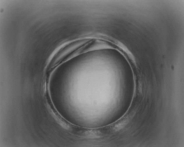 X0000081491368200701121459