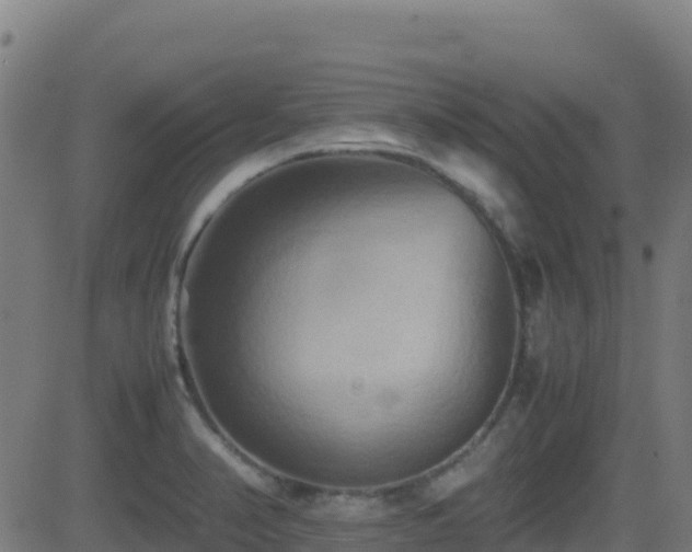 X0000081491374200701121459