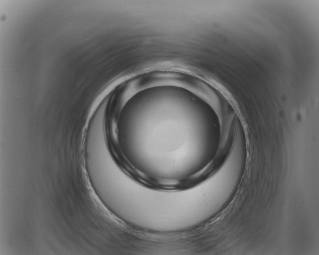 X0000081491392200701121459
