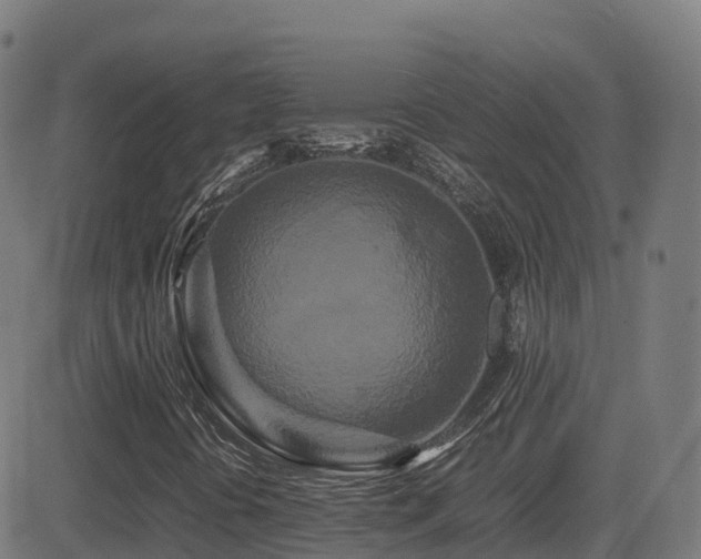 X0000081491394200701121458