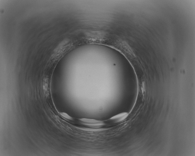 X0000081491396200701121458