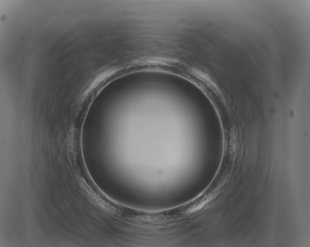 X0000081491404200701121458