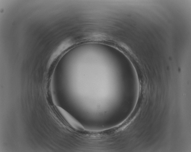 X0000081491410200701121458