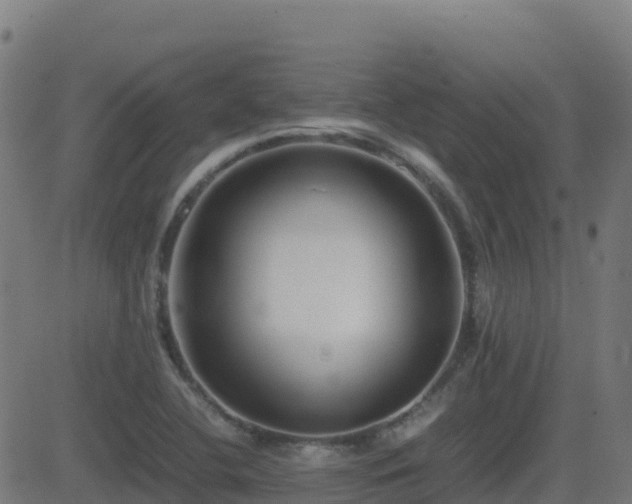X0000081491412200701121458