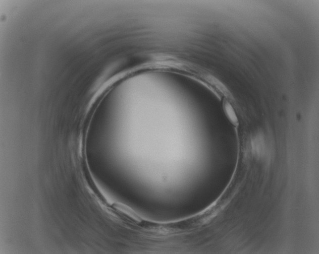 X0000081491420200701121458
