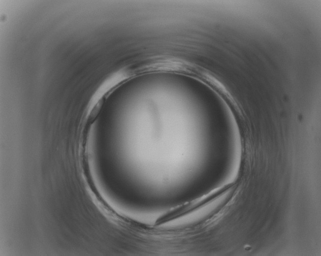 X0000081491426200701121459