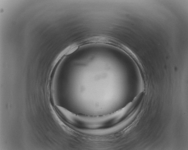 X0000081491434200701121459