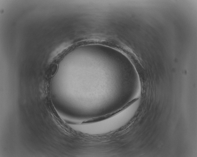 X0000081491448200701121458