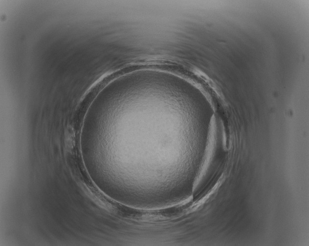 X0000081491449200701121458
