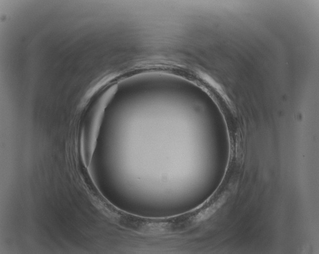 X0000081491453200701121458