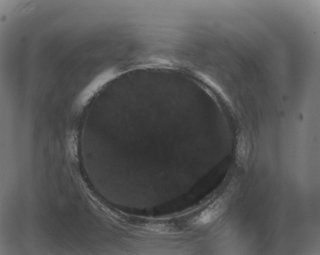 X0000081491455200701121458