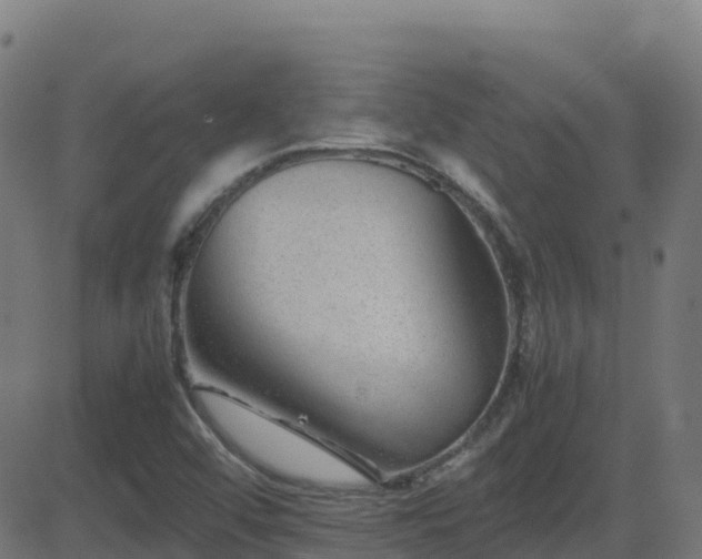 X0000081491456200701121458