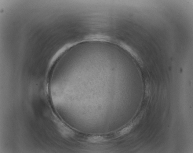 X0000081491462200701121458