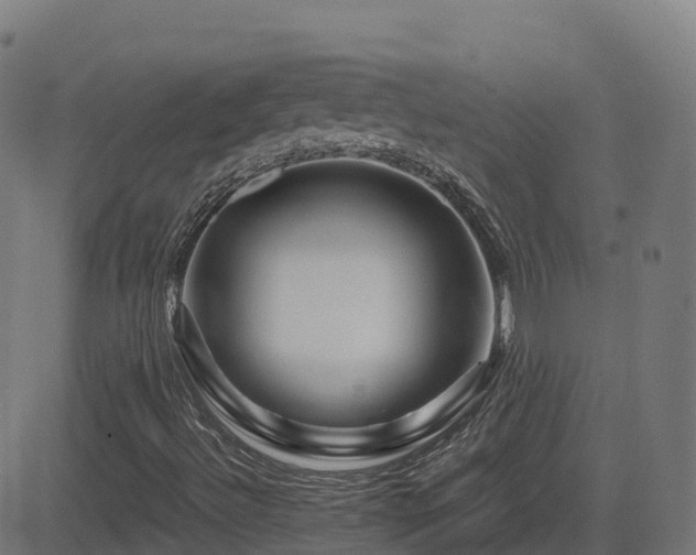 X0000081491492200701121456