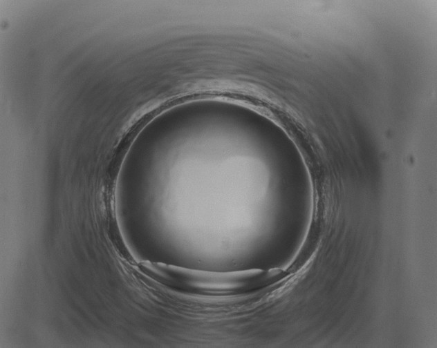 X0000081491497200701121457