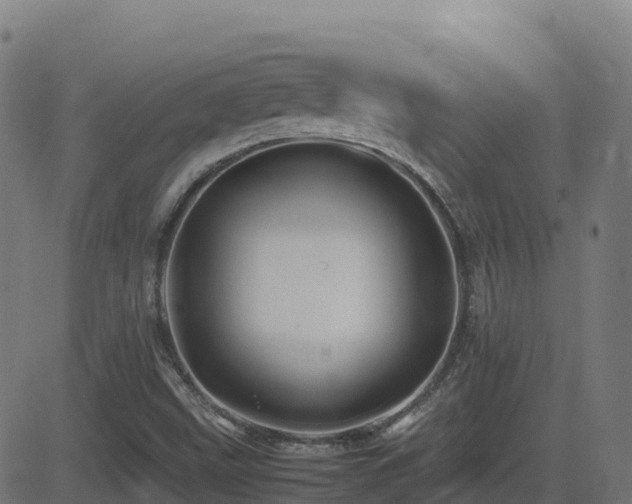 X0000081491499200701121457