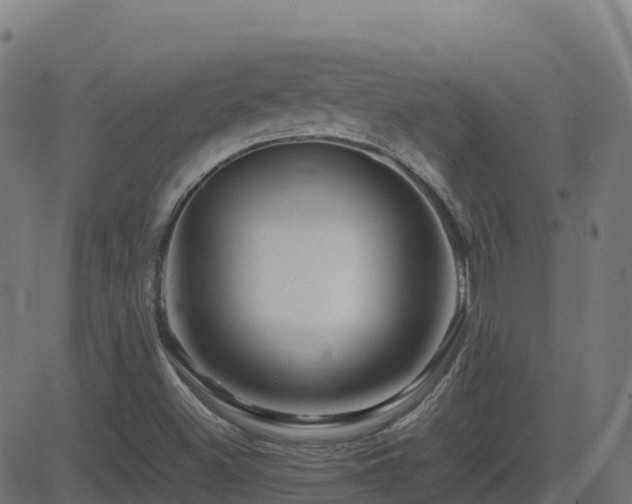 X0000081491500200701121457