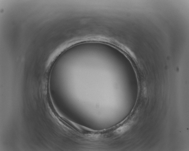 X0000081491504200701121457