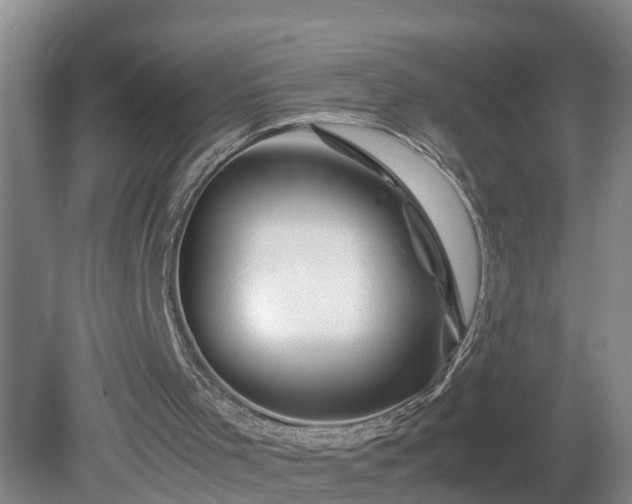 X0000081490001200701191910