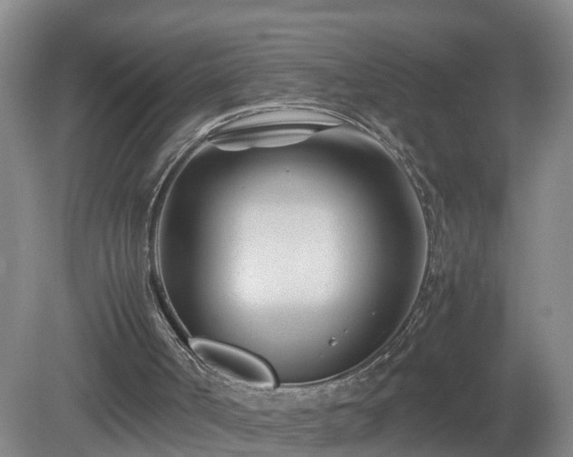 X0000081490002200701191910