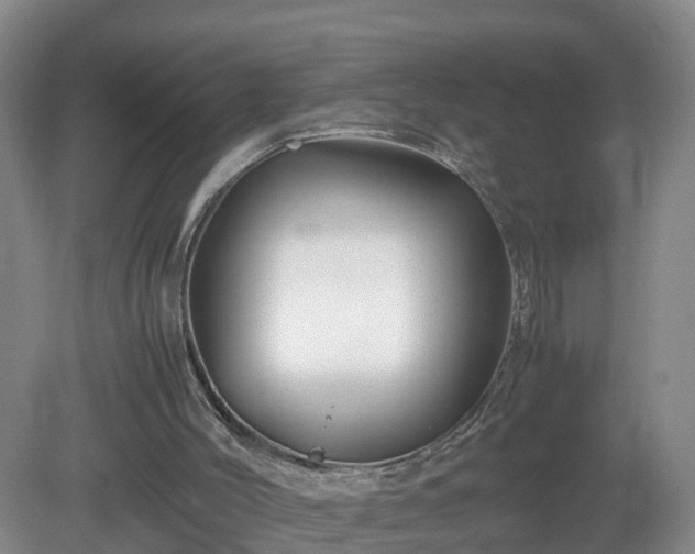 X0000081490004200701191910