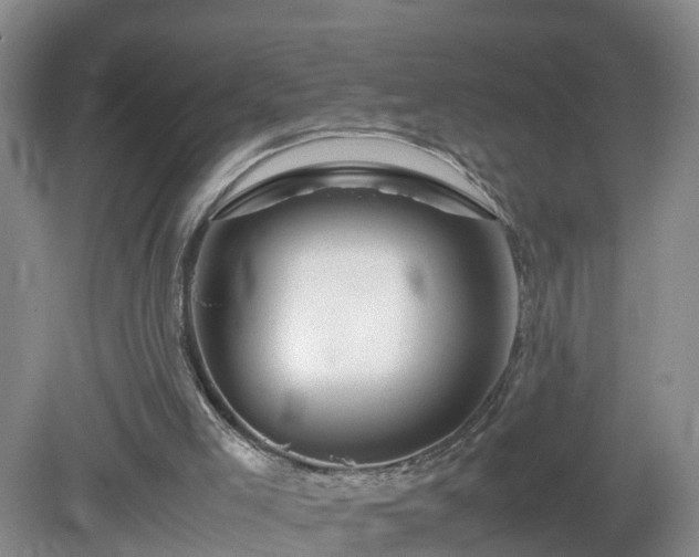 X0000081490005200701191910