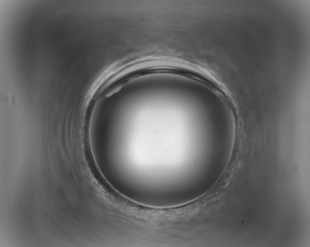 X0000081490007200701191910