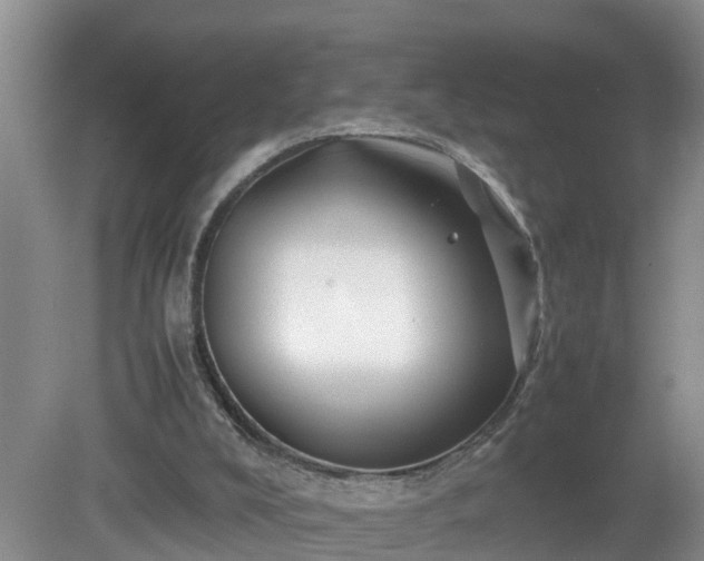 X0000081490008200701191910